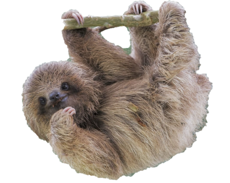 SlothiGami